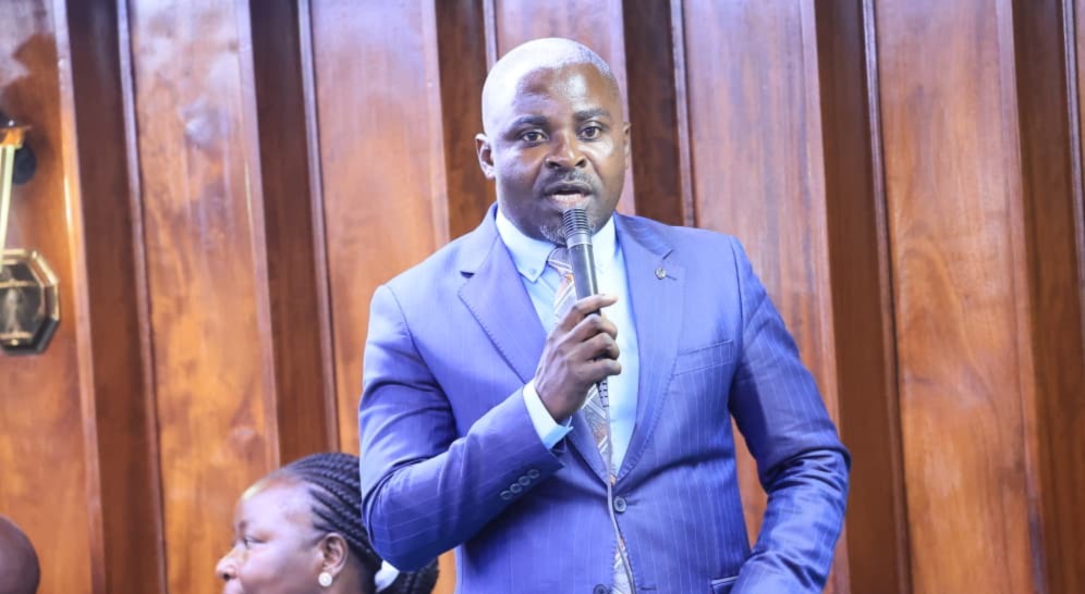 Kitagwenda MP Raises Alarm Over Deadly Stray Dog Attacks